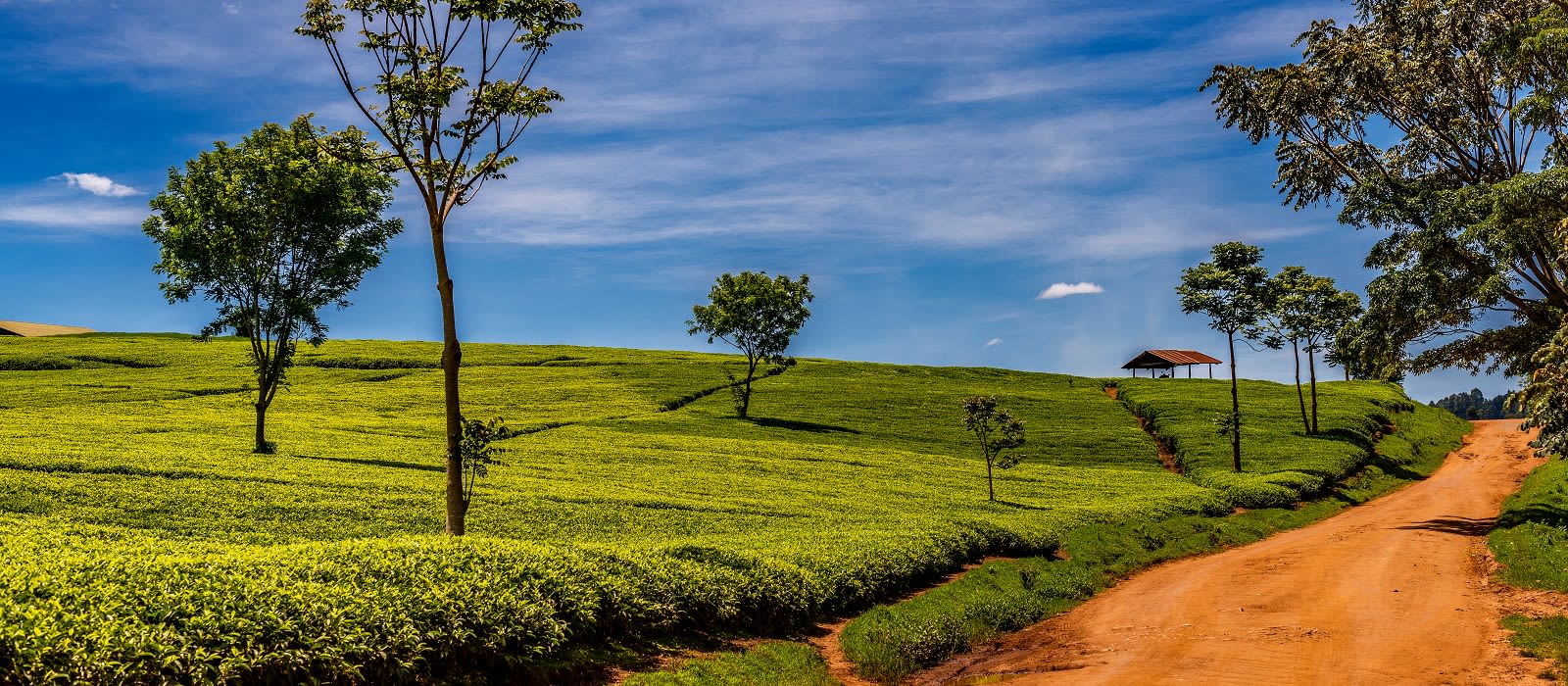 Destination Kericho